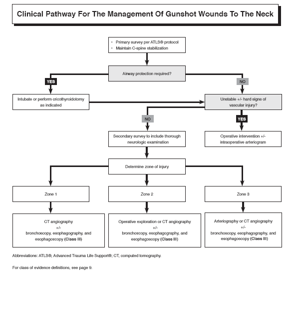 Gunshot Wounds Ballistic Trauma in the Emergency Department